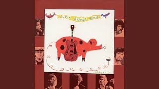 Music video thumbnail preview for Dad Gum Ya Hide, Boy by The Elvin Bishop Group
