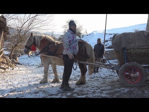 , title : 'Caii lui Nea Costel de la Cluj - Iarna la ferma 2018 ep. 78'