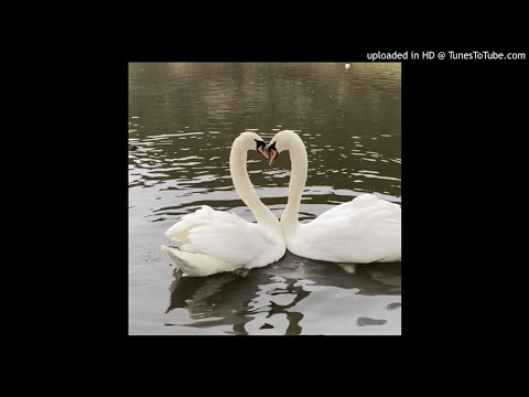 suisside - sunday w/ ekkstacy (prod. odece x northeast lights)