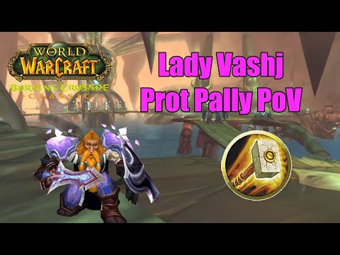 Lady Vashj Prot Paladin PoV | TBC Classic Phase 2