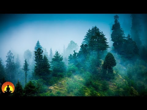 3 Hour Zen Meditation Music: Nature Sounds, Relaxing Music, Calming Music, Healing Music, ✿071C