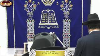 בית המדרש "תורת דוד" תשעה באב - 1957 שנים לחורבן בית המקדש ¤ חלק א' ¤ ט' אב תשפ"ה (3.8.2024) (מוסדות תורת דוד) - התמונה מוצגת ישירות מתוך אתר האינטרנט יוטיוב. זכויות היוצרים בתמונה שייכות ליוצרה. קישור קרדיט למקור התוכן נמצא בתוך דף הסרטון