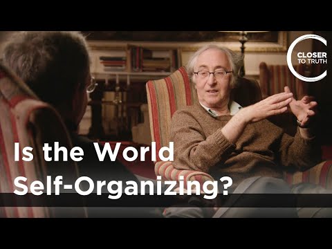 Brian Josephson - Is the World Self-Organizing?