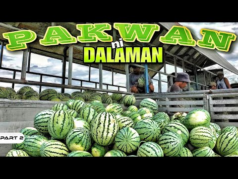 EP969-P2 - Pakwan ni Dalaman