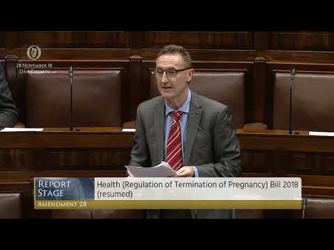 Deputy Peter Fitzpatrick  - Government Business - 28.11.2018