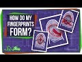 How Do My Fingerprints Form
