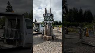 Icy Strait Point Alaska | Our Port Day on an Alaska Cruise #icystraitpoint  #alaskacruise #ncljade