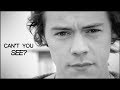 Harry + Louis || Can't you see? 