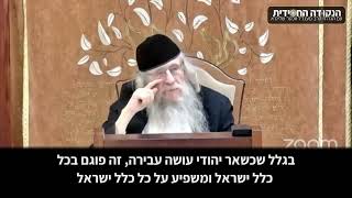 הגה״ח הרב ווכטר שליט״א | ערבות הדדית - איך הפעולות שלי משפיעות על אחרים? (הרב אברהם מנחם מענדל וכטר) - התמונה מוצגת ישירות מתוך אתר האינטרנט יוטיוב. זכויות היוצרים בתמונה שייכות ליוצרה. קישור קרדיט למקור התוכן נמצא בתוך דף הסרטון
