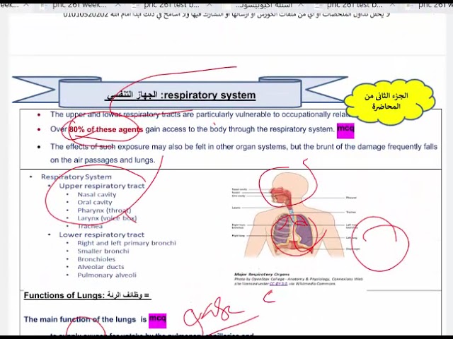 اشتراك شرح مادة PHC261