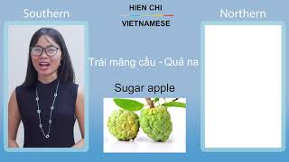 What are the differences in Vietnamese language from North to South?