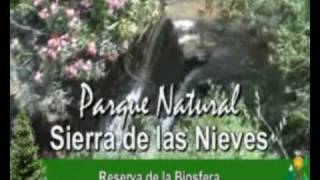 preview picture of video 'Tolox Malaga Parque Natural Sierra de las Nieves'