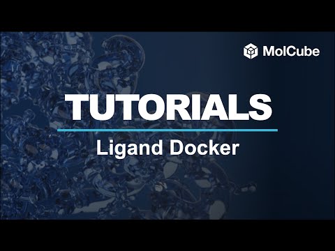 04. Ligand Docker