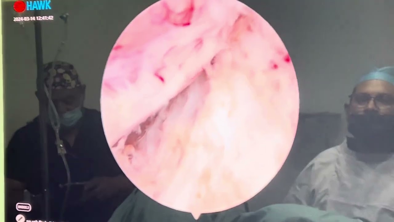 Ángel Armando Gutiérrez Jiménez-31