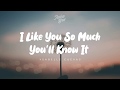 I Like You So Much You Ll Know It Ysabelle Cuevas Lyrics