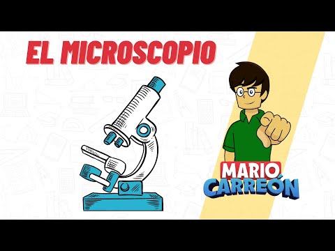 El Microscopio 🔬