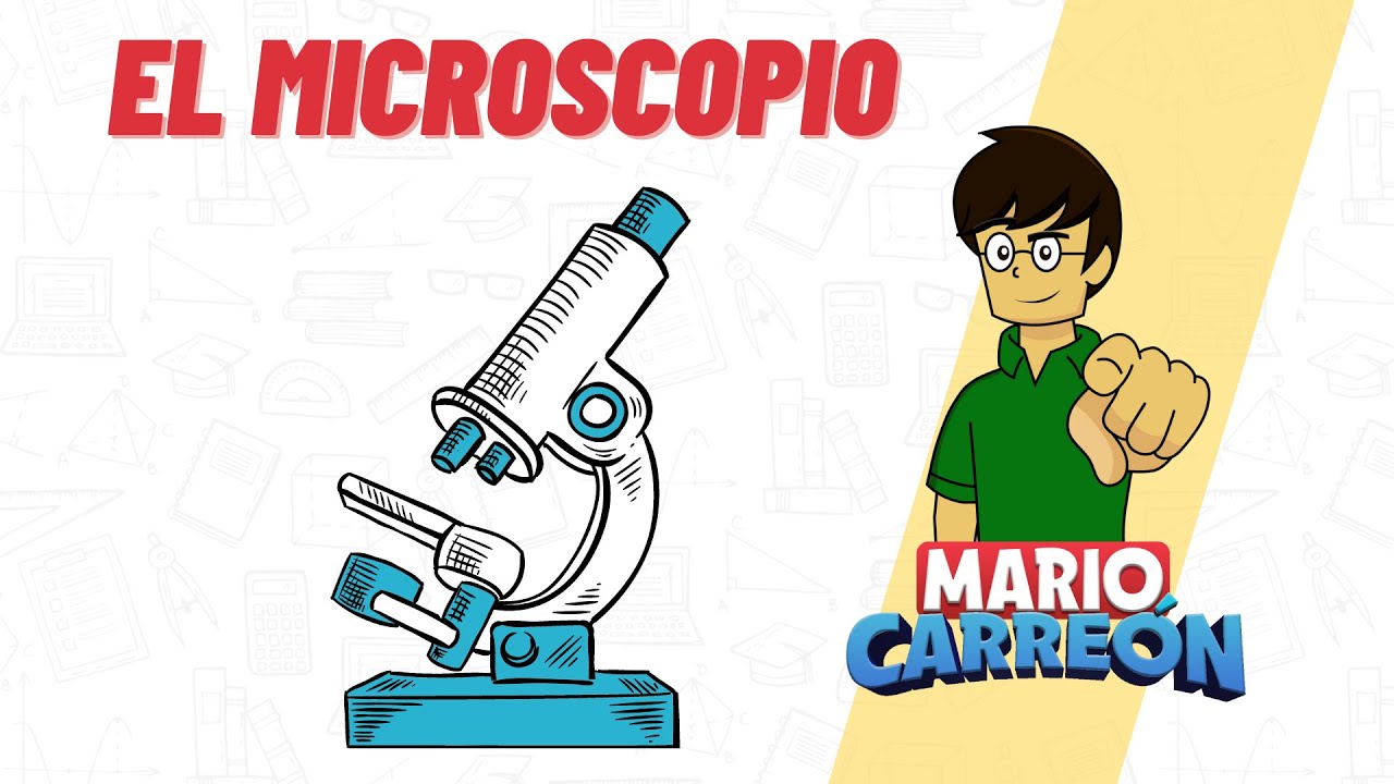 El Microscopio 🔬