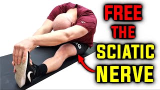 Sciatic nerve: The real reason behind tight hamstrings