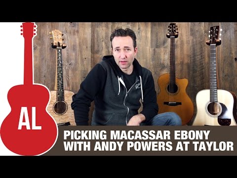 Behind the Scenes at Taylor - Picking Macassar Ebony with Andy Powers