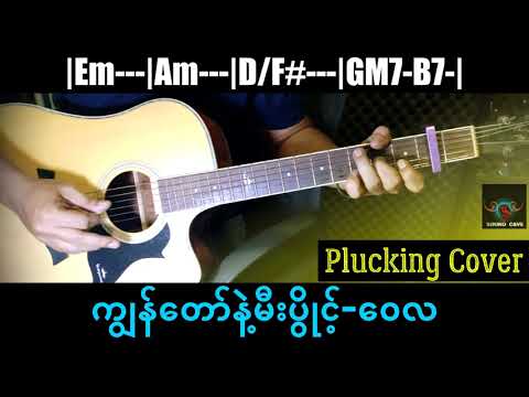 ကျွန်တော်နဲ့မီးပွိုင့်-ဝေလ(Plucking Cover)