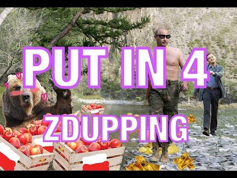 PUT IN 4 Holidays - ZDUPPING