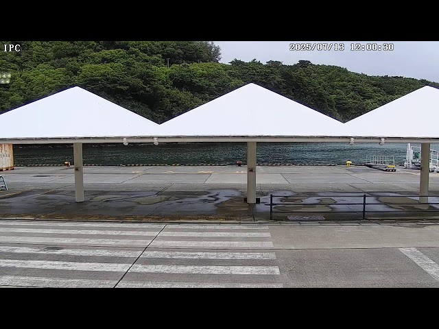 沖港 cctv 監視器 即時交通資訊