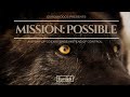 Mission: Possible Documentary Film Teaser Trailer #wolfdocumentary #wolffilm #wolfsanctuary