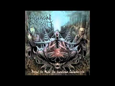 Human Parasite-Revenge of the Injured Beast(No Mercy For Nobody)