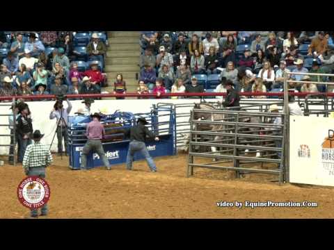Blind Sided ridden by Jay McLaughlin  - 2017 NRCHA C of C (FINALS - WGH Steer Stopping)