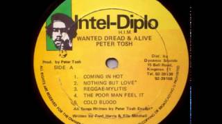 Peter Tosh - The Poor Man Feel It [Intel Diplo 1981]