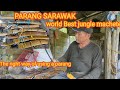PARANG SARAWAK. World Best jungle machete. the right way of using a parang/machete.