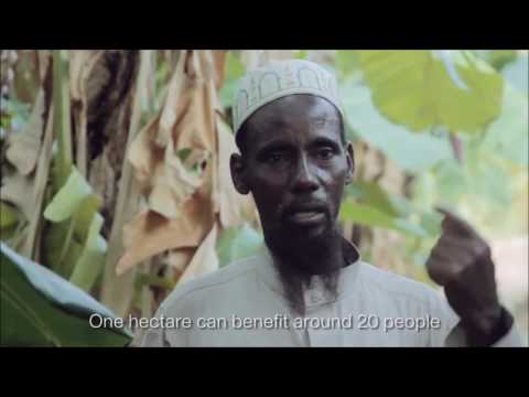 download lagu mp3 mp4 Islamic Farming, download lagu Islamic Farming gratis, unduh video klip Islamic Farming