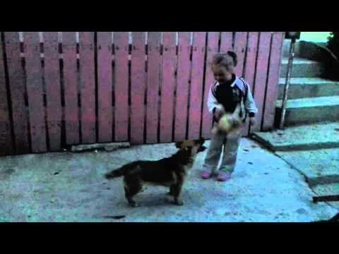 Vladnic Camelia si Catelu