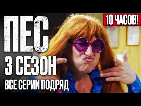 🎬 Сериал ПЕС 3 сезон – Полный 3 СЕЗОН – ВСЕ СЕРИИ ПОДРЯД (13 – 24) | ПЕС 2023 – ЧАСТЬ 2
