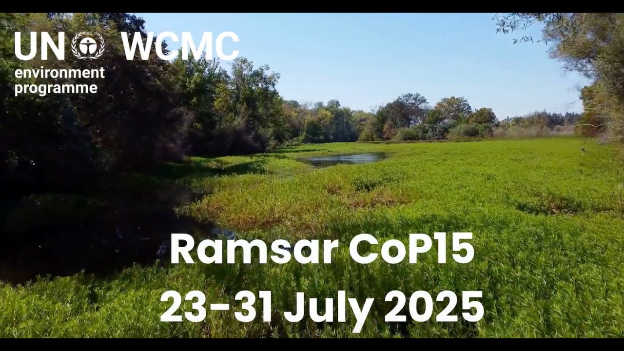 UNEP-WCMC is joining Ramsar #cop15