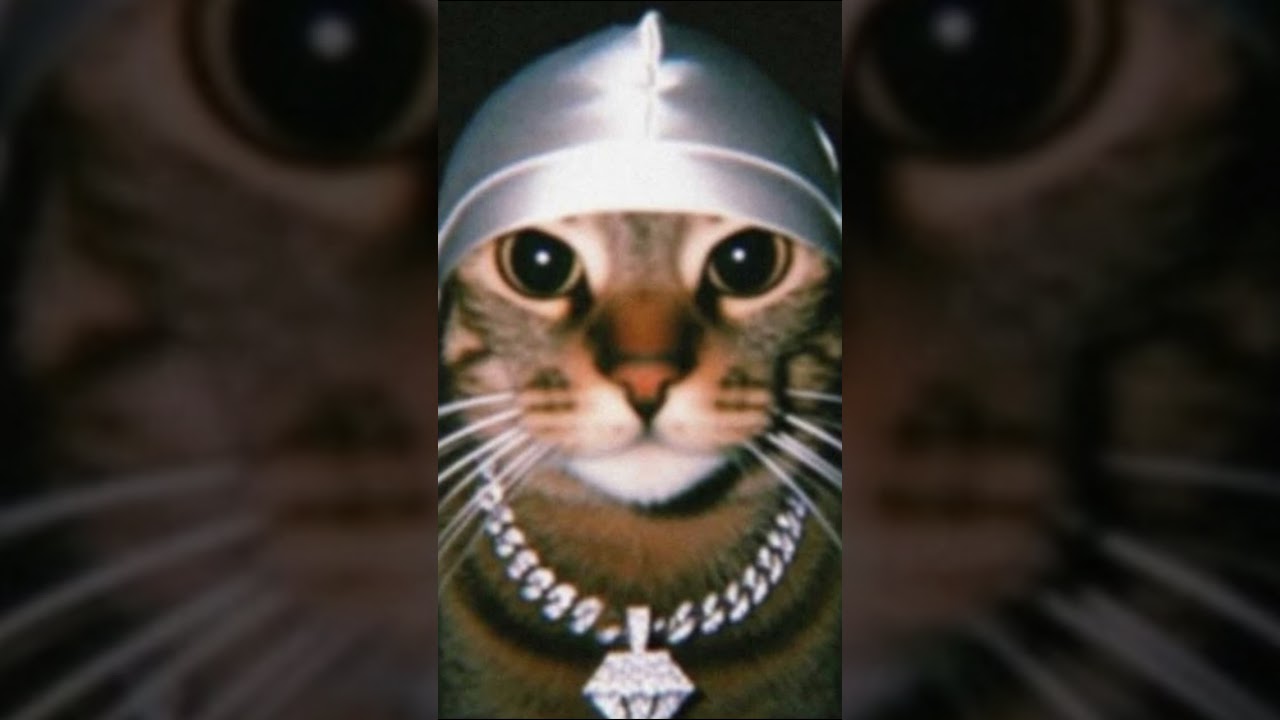 Please dont scroll 💔 #shorts