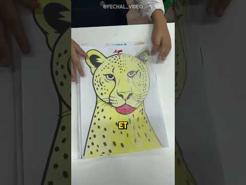 Qui dessinera le meilleur visage de tigre