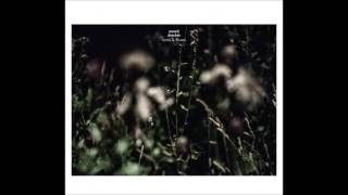 Anneli Drecker - Ocean&#39;s Organ