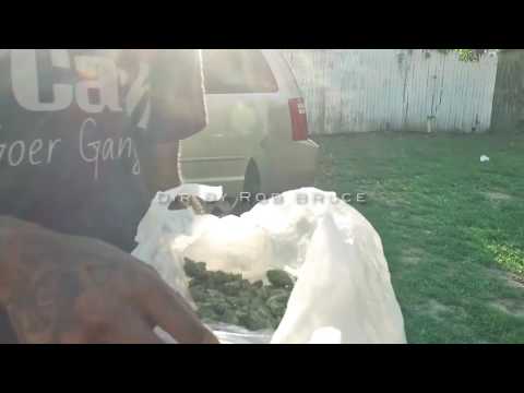 YVB x PMG x 20Cash - For My Gang ***OFFICIAL MUSIC VIDEO***