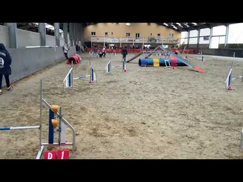 20200223 WITTES FABRICE INDY GR3 M2