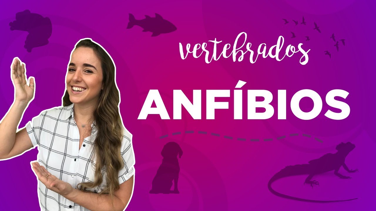 ANFIBIOS - ZOOLOGIA I Prof.  Louise Medeiros