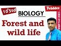 Forest And Wild Life Natural Resources Lesson Biology Class 10 CBSE Syllabus