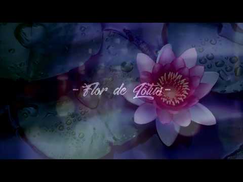 GSÉ SILVA - FLOR DE LÓTUS (PROD. PAKS)