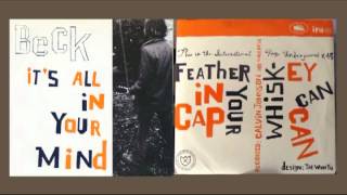 beck - Feather In Your Cap - 1995