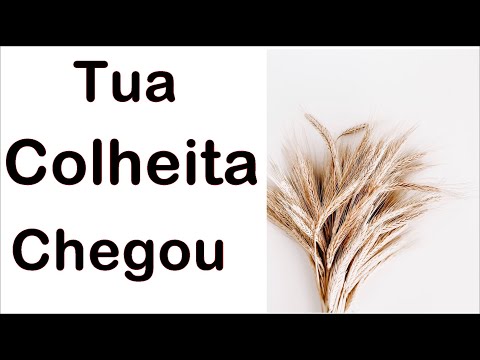 A tua colheita vai chegar