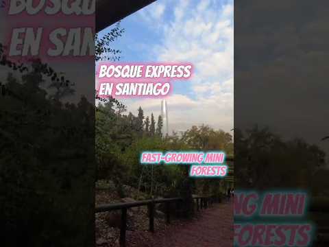 Bosque Express en el Cerro San Cristóbal - Santiago de Chile