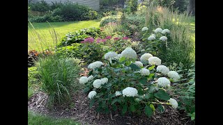 Mid July Garden Tour 2025
