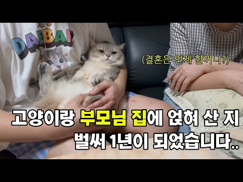 고양이랑 부모님 집에 얹혀 산 지 1년이 되었다..