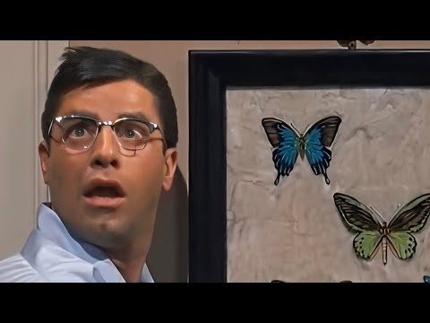 ⭐️JERRY LEWIS⭐️ Butterfly scene🦋"THE LADIES MAN"(1961)