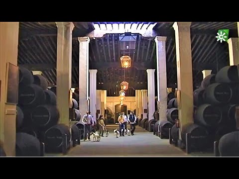 Perros Bodegueros, Jerez de la Frontera, Cádiz